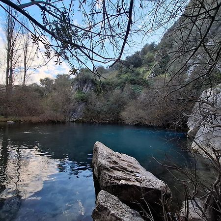 Vila Molino Del Caracol Benaoján Exteriér fotografie
