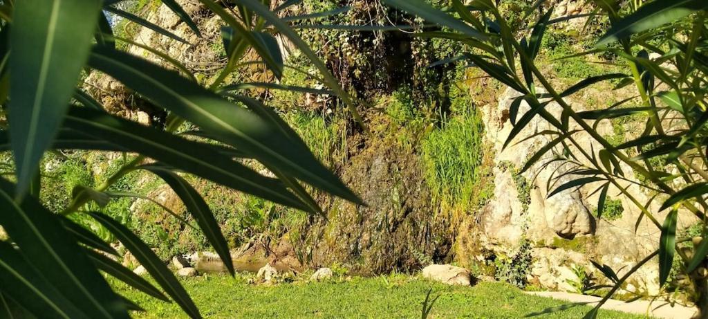 Vila Molino Del Caracol Benaoján Exteriér fotografie
