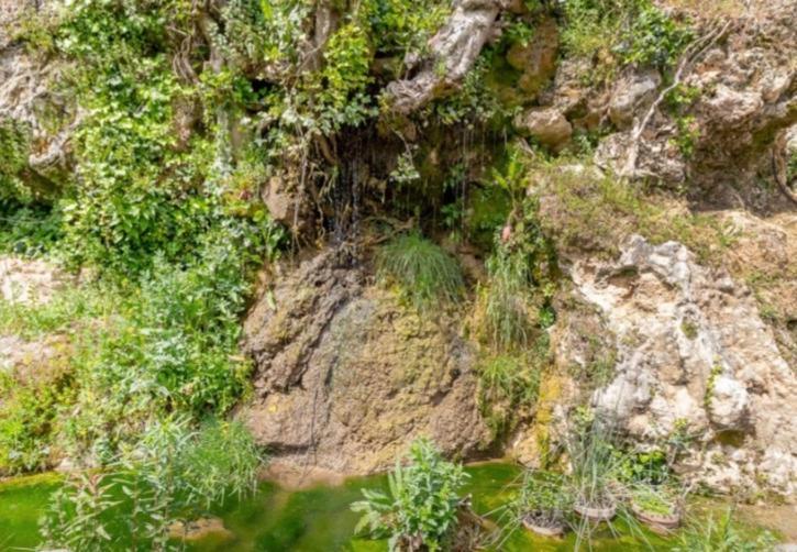 Vila Molino Del Caracol Benaoján Exteriér fotografie