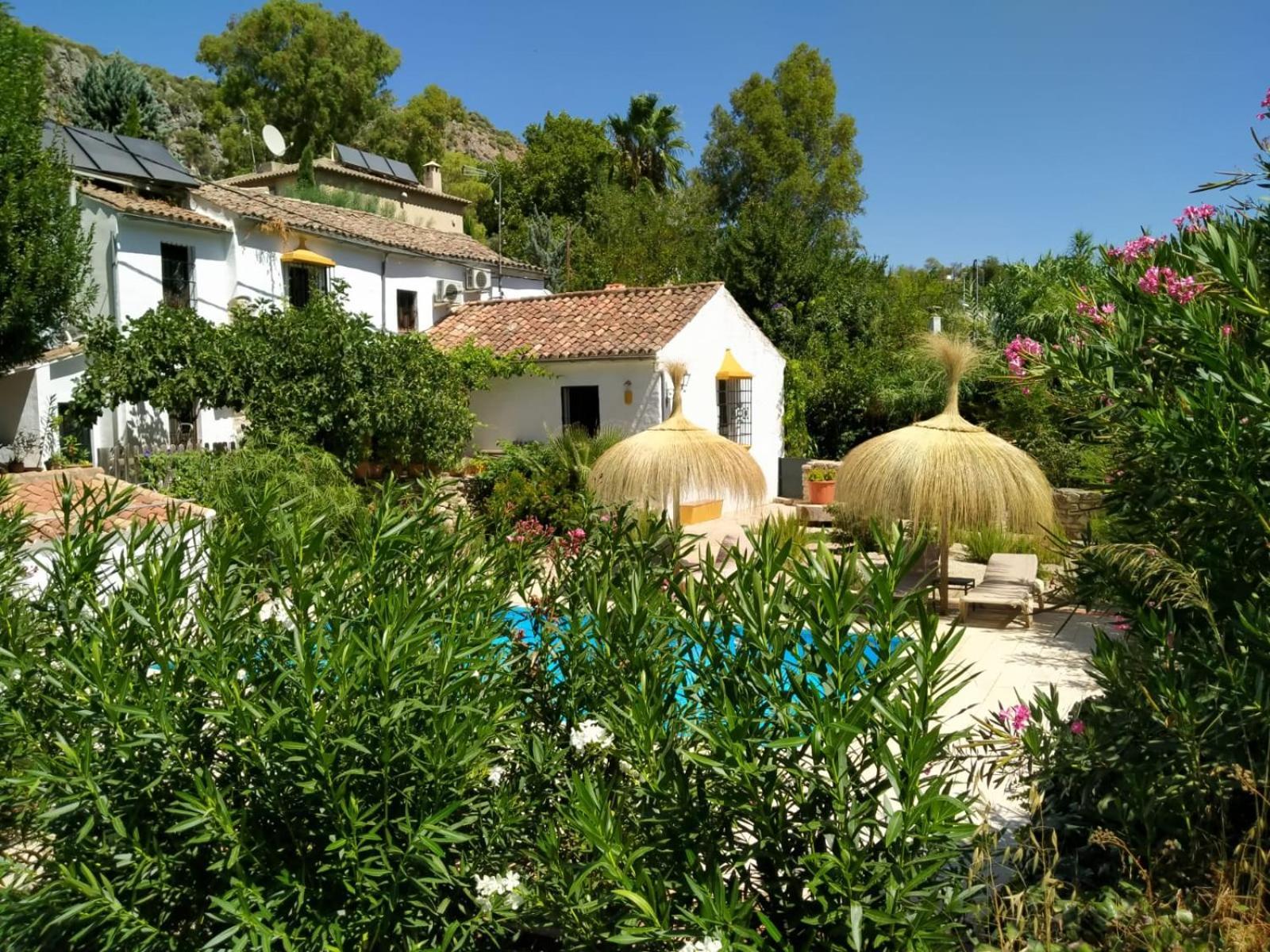Vila Molino Del Caracol Benaoján Pokoj fotografie